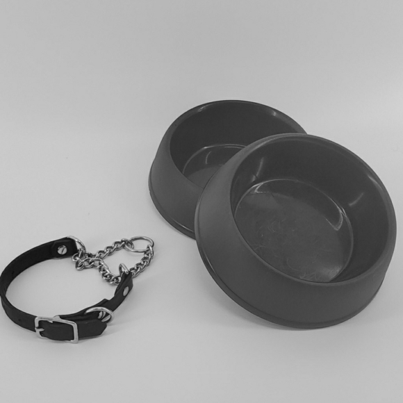2 dog bowls and a leather choker collar - Picture 3 of 8